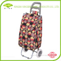 2014 Hot sale new style spain shopping trolley